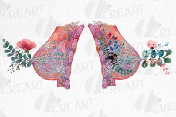 Floral Female Breast Watercolour Anatomy Graphics